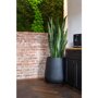 Pottery Pots Natural Pax ronde plantenbak zwart
